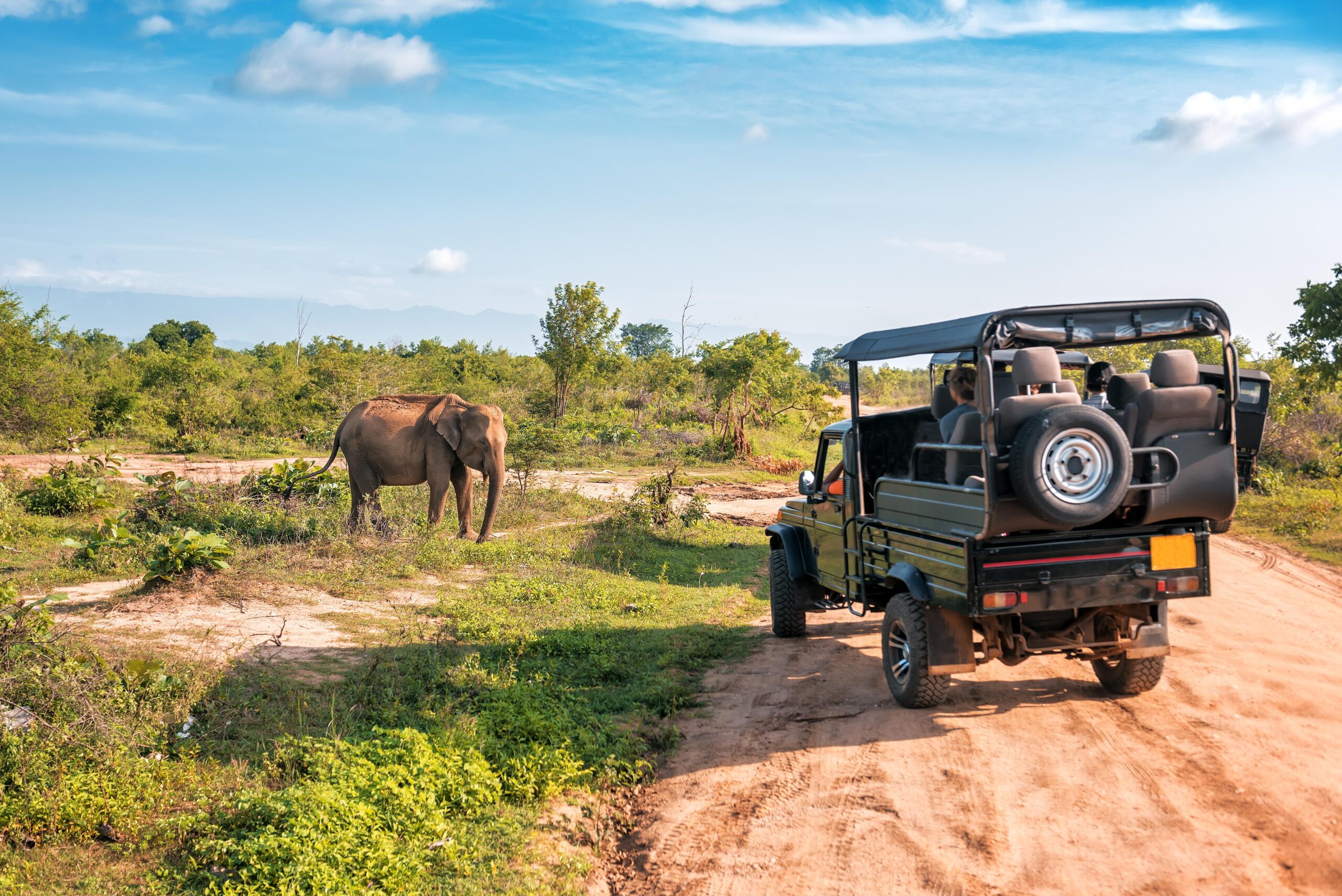 Roam Yala's premium 4×4 mobile camping adventure - Image 4